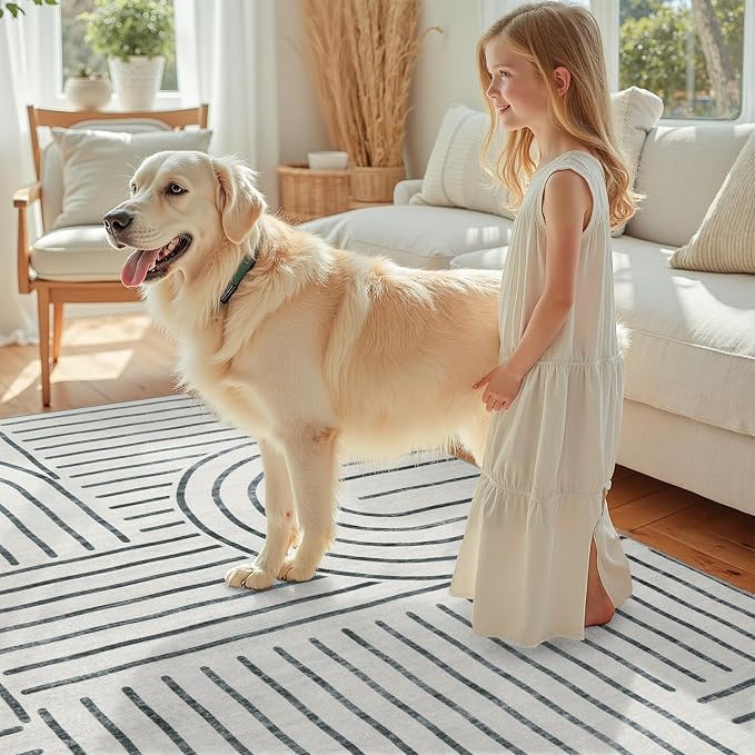 DCX Abstract Machine Washable 8x10 Rug, Gray Modern Accent Rug for Living Room, Soft Low Pile Non Slip Carpet, Kid & Pet Friendly Stain Resistant Rug for Bedroom Dining Room Office