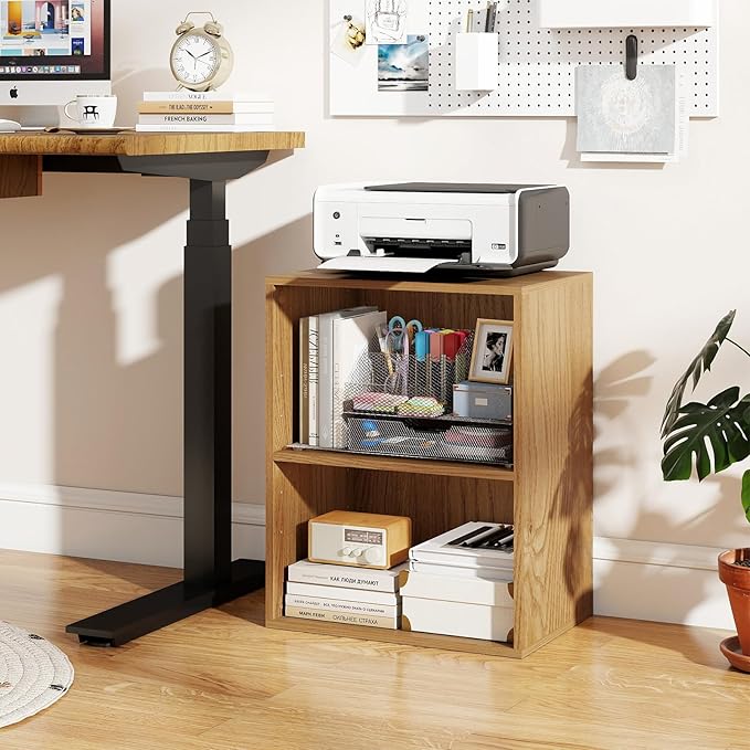 Giantex 2-Cube Bookshelf and Bookcase, 2-Layer Storage Shelf w/Large-Capacity Open Storage Space for Living Room Bedroom Study Office, Multi-Functional Furniture Display Cabinet, Natural