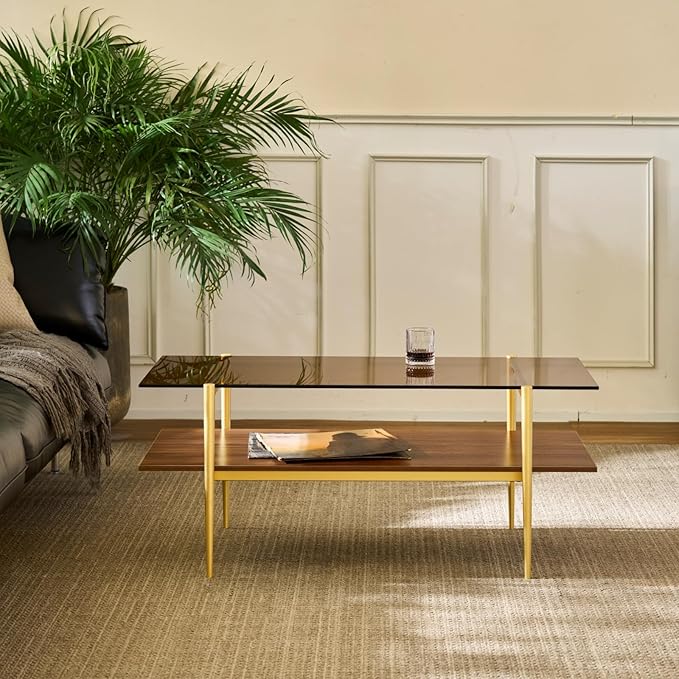 Saint Mossi Tadio Double Layer Glass Coffee Table for Living Room, Brown Glass & Coffee Brown MDF Bottom Shelf | Double Layer, for Living Room, Bottom Shelf