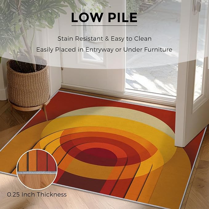 Mid Century Modern Rugs for Home Decor, 3x4 ft, Abstract Circle Area Rugs for Living Room, Soft Non Slip Washable Retro 70s Geometric Carpet Bedroom Decorations Dt-Ghf-69