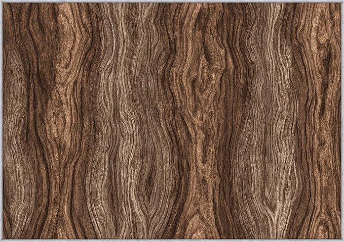 Wood Grain Rustic Area Rug, Vintage Brown Texture Pattern Carpet, Washable Non Slip Low Pile Soft Thin, Living Room Bedroom Home Decor Mat 5x7ft