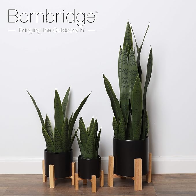 Bornbridge Artificial Snake Plant with Mid Century Plant Stand - Sansevieria Plant in Modern Planter - Artificial Plants with Indoor Plant Stand - Faux House Plants (Small / 2 Pack)