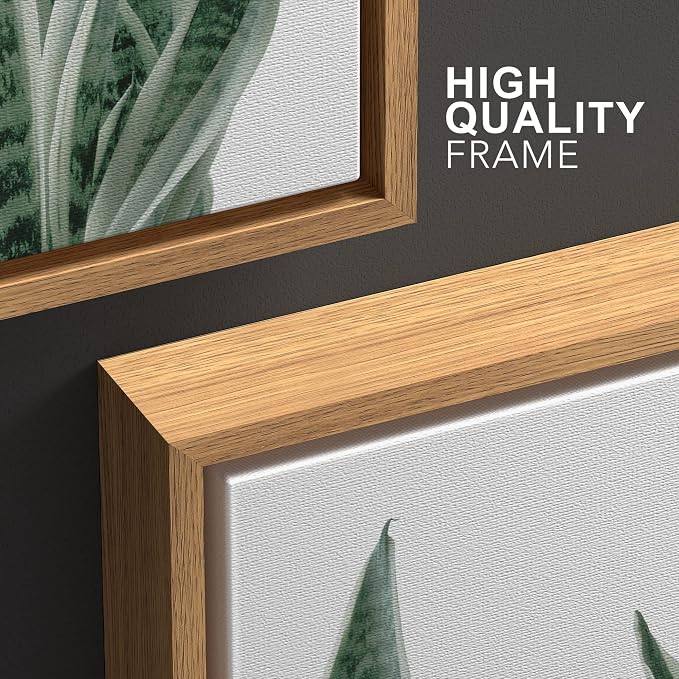 wall26 Framed Canvas Print Wall Art Set Minimal Snake Plant Agave Succulents Nature Wilderness Photography Modern Art Bohemian Decorative for Living Room, Bedroom, Office - 16"x24"x3 Natural