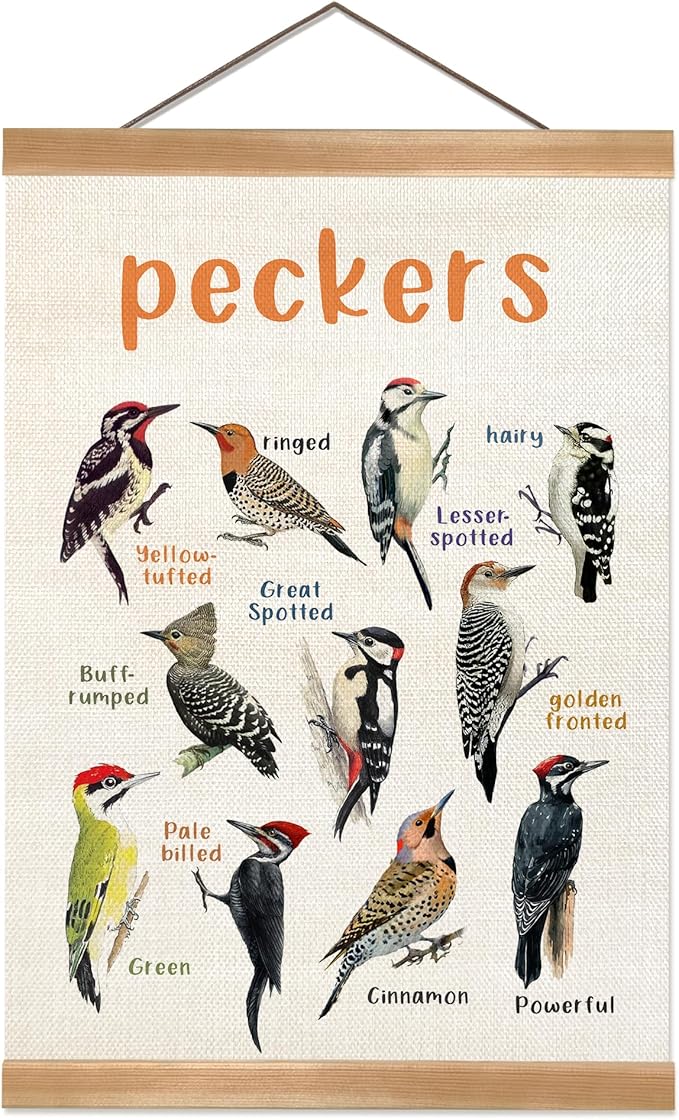 Vintage Birds Wall Art –Wall Hanging Poster with Solid Wood Frame, Linen Canvas Bird Illustration Poster, Birds Wall Decor for Bird lovers,Home, Classroom, and Kids' Room Decor 12x16inch (Peckers)