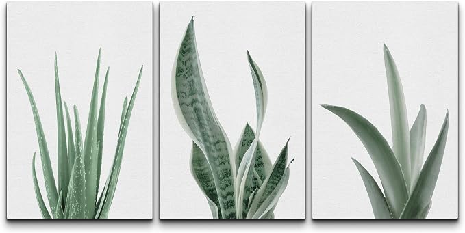 wall26 Canvas Print Wall Art Set Minimal Snake Plant Agave Succulents Nature Wilderness Photography Modern Art Bohemian Decorative Rustic Contemporary for Living Room, Bedroom, Office - 16"x24"x3