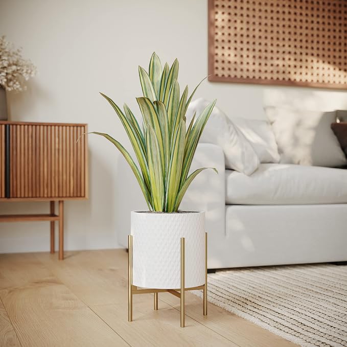 EverNest Claire Mid-Century Modern White Planter and Stand, Indoor Plant Pot, SelectBase, Minimalist Aesthetic, Home Decor for Plants - (Gold Base, Small)