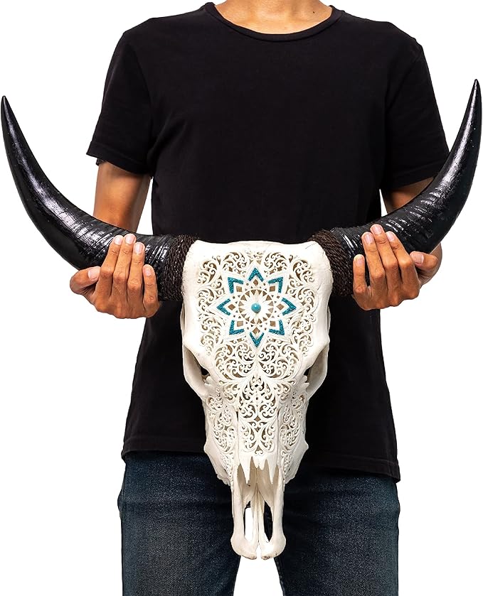 Skull Bliss - Hand-Carved Real Authentic Taxidermy Cow Skull/Bull Skull Wall Decor with Horns/Real Animal Cow Skull Wall Decor (Standard Horns)
