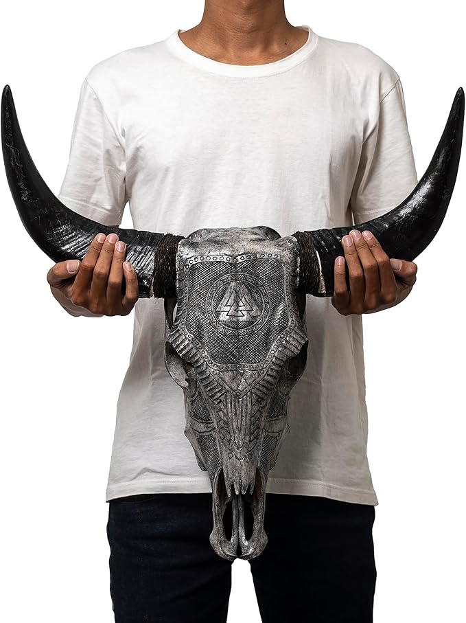 Skull Bliss - Hand-Carved Real Authentic Taxidermy Cow Skull/Bull Skull Wall Decor with Horns/Norse Viking Gift for Men/Real Animal Cow Skull Wall Decor (Standard Horns)