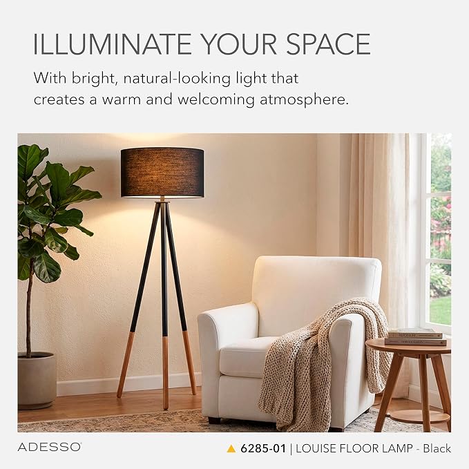 Adesso 6285-01 Louise, 60.25 in., 150 W Incandescent/ equiv. CFL, Black Painted Metal w/ Wood Tips, 1 Floor Lamp