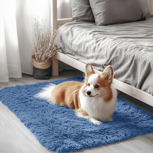 OLANLY 2x3 Machine Washable Small Bedside Rug, Soft Fluffy Shaggy Entryway Throw Rugs for Bedroom, Living Room, Indoor Floor Carpet for Kids Girls and Boys, Home Decor Aesthetic, Blue