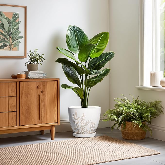 10 Inch Indoor Planter with Saucer - Boho Ceramic Plant Pot with Drainage for Indoor Plants, Large Flower Pot, Home Office Garden Room Decor, Plant Lovers Gifts, White