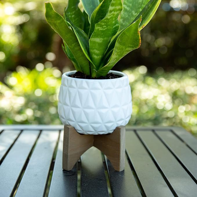Flora Bunda 5 Inch Kaleid Ceramic on Wood Stand Mid Century,Matte White 5"