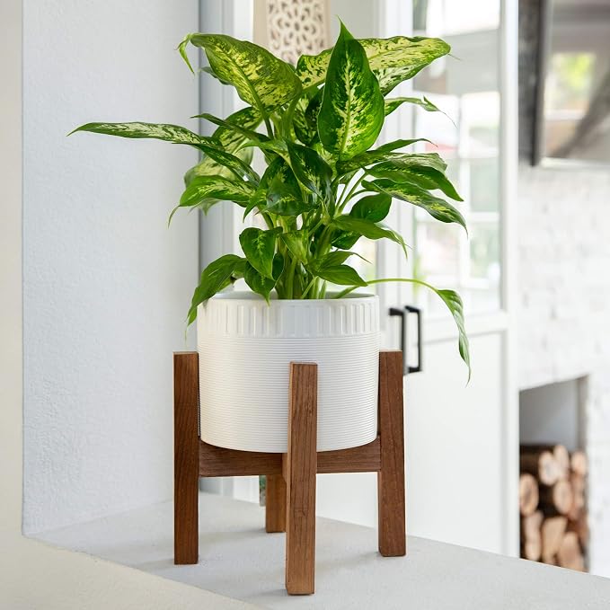 Flora Bunda Mid Century 8 inch Ceramic Dumpling Pot ON Wood Stand