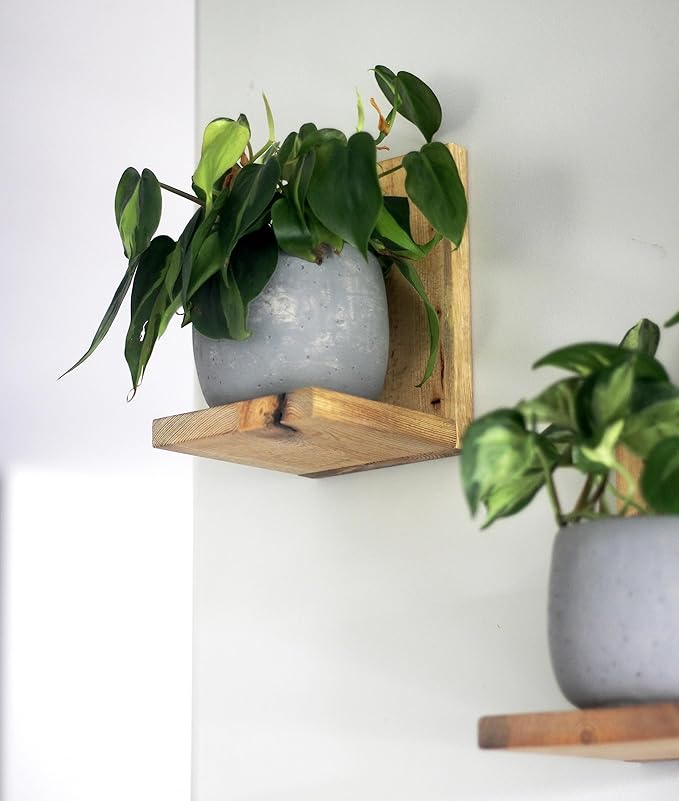 Daniel's Plants Indoor Plant Wall Gallery Shelf Kit | Midcentury Modern Wooden Shelves | Wall Mounted L Shaped Floating Plant Shelves | Solid Wood | 3 Pack (Natural - Unstained)