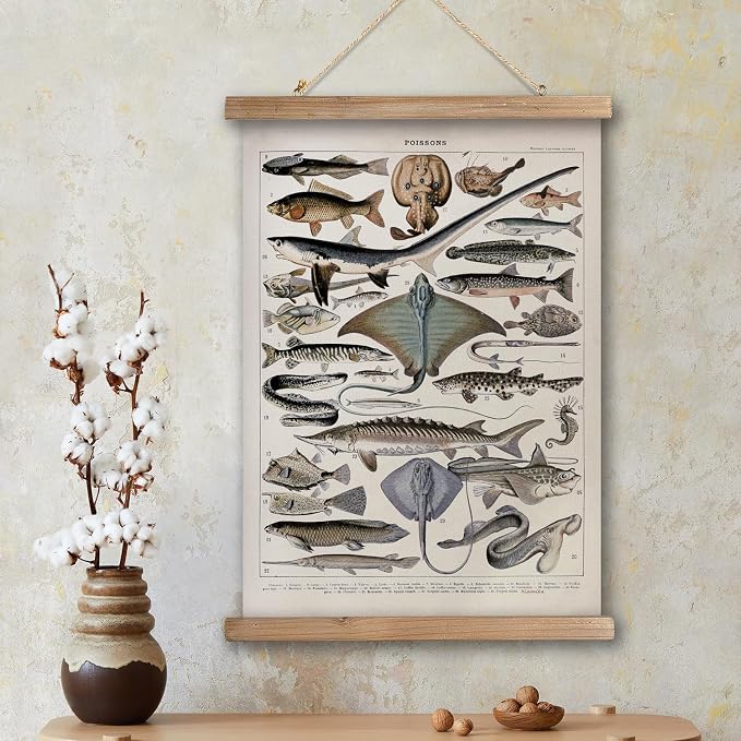 XIAOAIKA Vintage Fish Species Poster - Educational Oceanic Life Chart with Wooden Scroll Frame - Classic Nautical Wall Hanging Decor for Home, Office, or Classroom 12 x 16 Inches