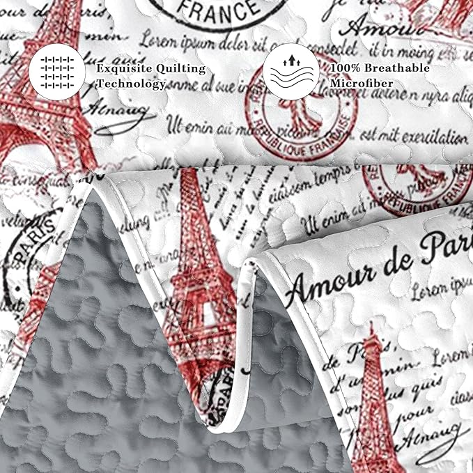 Pamnest Quilt Set Full/Queen Size, Paris Vintage Eiffel Tower 3 Pcs Soft Bed Cover Bedding Set for Kids and Adults, France Old Iron Lightweight Bedspread Coverlet with Pillow Sham for All Season