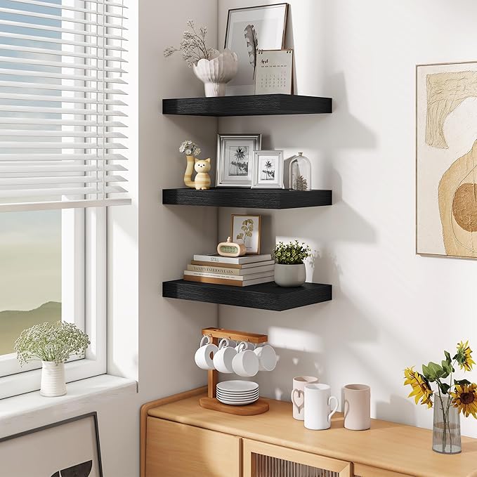 Fun Memories Black Floating Shelves for Wall - 10 x 16 Floating Shelf - Rustic Wood Storage Shelf - Wall Shelves with Invisible Bracket - 16" Bookshelves for Living Room & Bedroom - Black - Set of 2