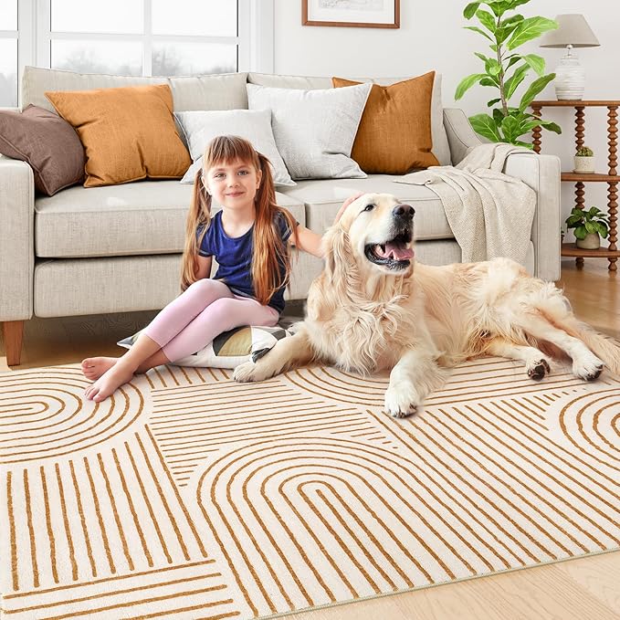 Lahome Abstract Bedroom Rugs, Soft Washable Area Rugs 4x6 Non Slip Rainbow, Ultra-Thin Orange Throw Carpet for Entryway Kitchen Living Room Darrell, Orange