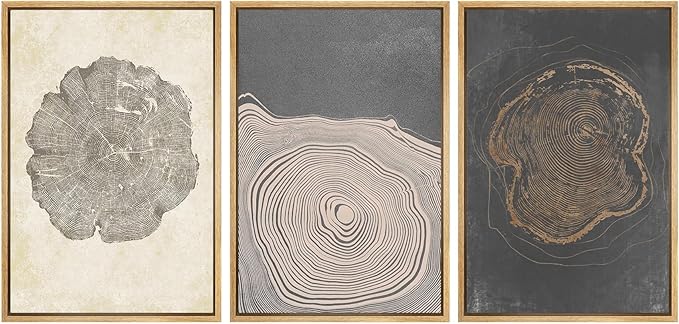 SIGNWIN Framed Canvas Print Wall Art Set Pastel Gray Wood Tree Ring Spirals Nature Abstract Drawings Modern Art Decorative for Living Room, Bedroom, Office - 16"x24"x3 Natural