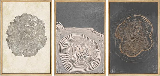 SIGNWIN Framed Canvas Print Wall Art Set Pastel Gray Wood Tree Ring Spirals Nature Abstract Drawings Modern Art Decorative for Living Room, Bedroom, Office - 16"x24"x3 Natural