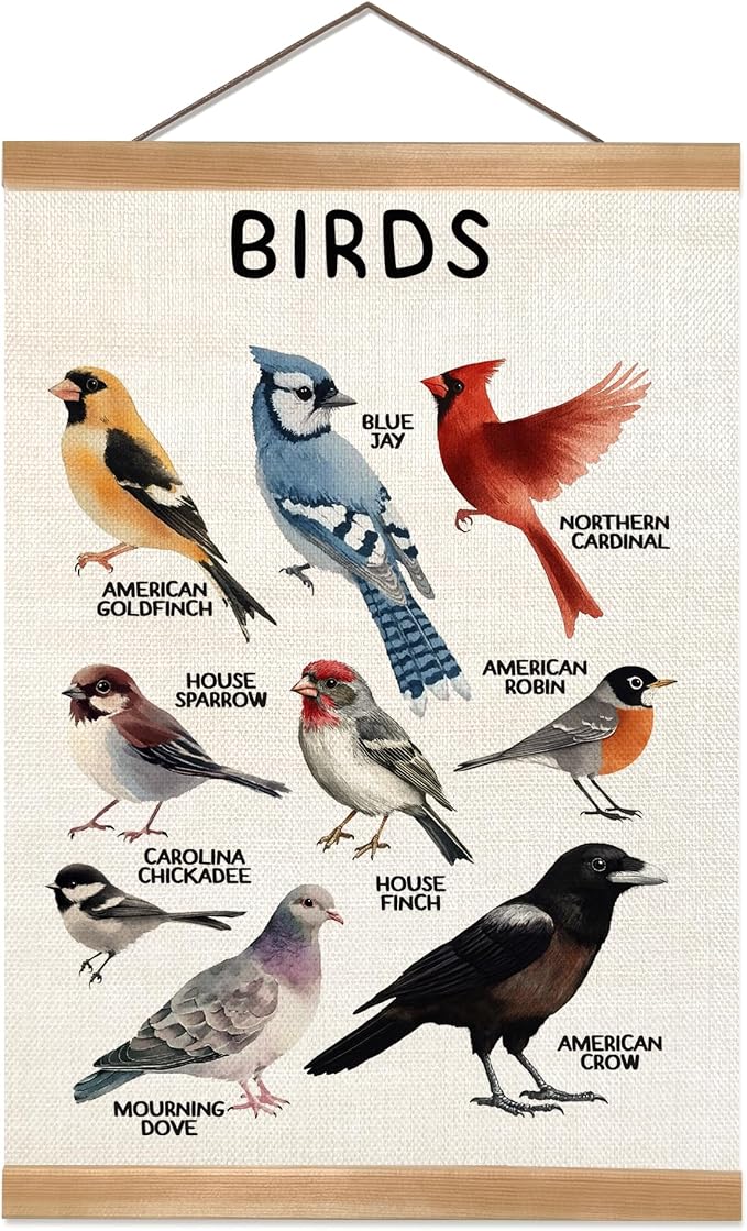 ZTGDA Birds Vintage Wall Art – Hanging Poster with Solid Wood Frame, Linen Canvas Bird Illustration Poster,Birds Wall Decor for Living Room Playroom Classroom, Birds Lovers Gift 12x16inch