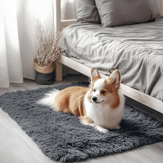 OLANLY 2x3 Machine Washable Small Bedside Rug, Soft Fluffy Shaggy Entryway Throw Rugs for Bedroom, Living Room, Indoor Floor Carpet for Kids Girls and Boys, Nursery Rooms, Home Decor Aesthetic, Grey