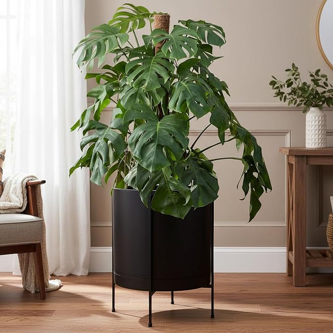 D'vine Dev 16 Inch Black Planter Pot with Stand – Modern Plastic Cylinder Flower Pot with Heavy-Duty Metal Stand for Indoor Plants, 55-D-B-5