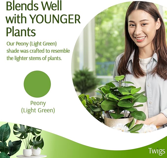 Plant Support Stakes for Indoor & Outdoor Use, Durable Trellis Alternative for Climbing & Potted Plants, Houseplant Stem Holder Structures - Peony (Light Green), 10 Pack, 22" L, Original