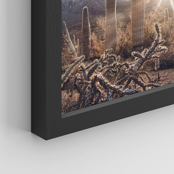 SIGNWIN Framed Cactus Desert Landscape Wall Art, Set of 4 Southwest Texas Arizona Saguaro Wall Decor Prints, Nature Wilderness Wall Décor for Living Room, Bedroom - 11"x14"x 4 Black