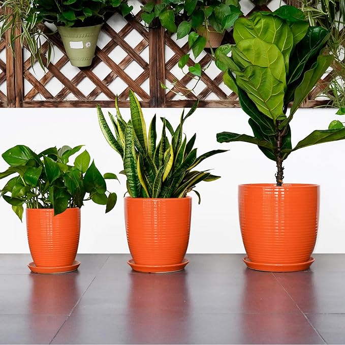8 Inch Plant Pot, Ceramic Planters for Plants with Drainage and Saucer, Orange