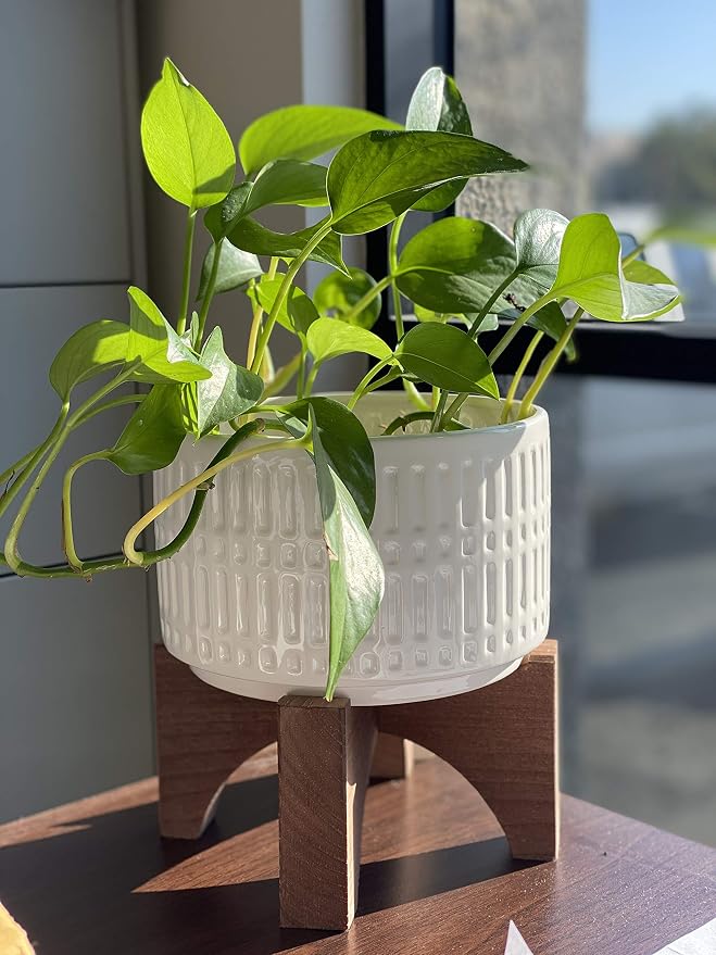Flora Bunda Mid Century 7 Inch White Roman Texture Ceramic Planter on Wood Stand Mid-Century, White Roman 7"