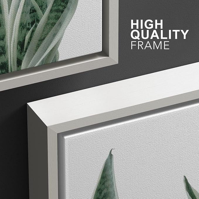 wall26 Framed Canvas Print Wall Art Set Minimal Snake Plant Agave Succulents Nature Wilderness Photography Modern Art Bohemian Decorative for Living Room, Bedroom, Office - 16"x24"x3 White