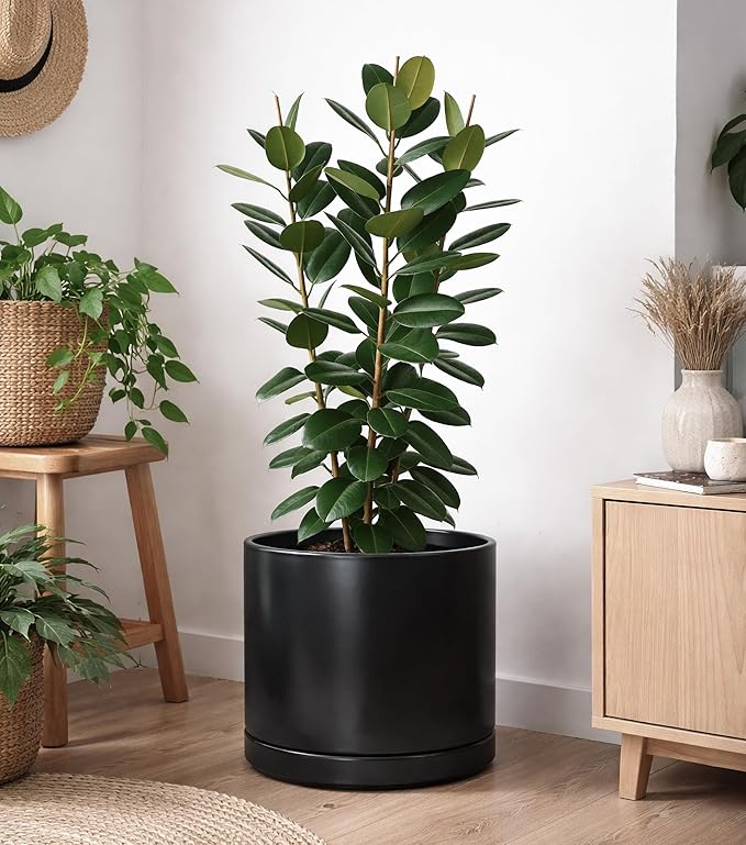 D'vine Dev 16 Inch Ceramic Planter Pot with Drainage Hole and Saucer, Indoor Cylinder Round Planter Pot, Black, 94-O-H-2
