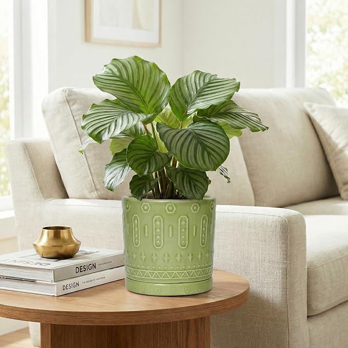 Eightpot Ceramic Flower Pots, 6 Inch Planter for Indoor Plants Outdoor, Round Pots for Plants with Drainage Hole and Tray, Modern Decorative Plant Pot, Bathroom Decor, Green