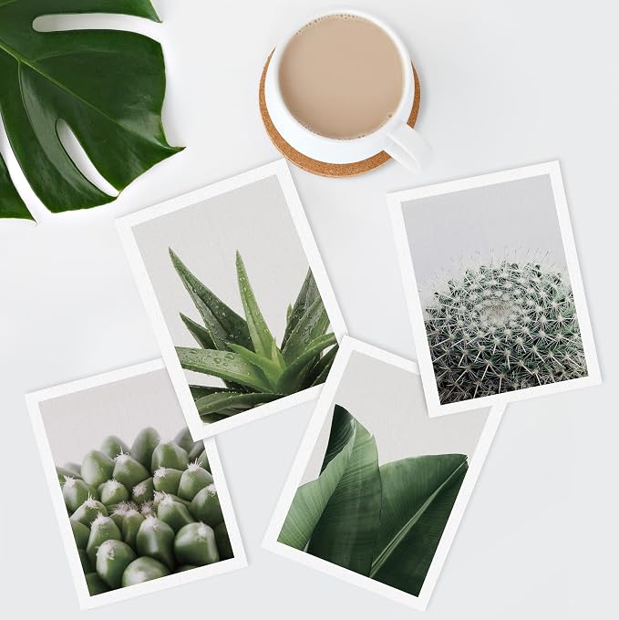 SIGNWIN Adhesive Canvas Poster Tropical Island Green Desert Plant Cactus Snake Plant Nature Wilderness Photography Realism Decorative Rustic Cozy Zen for Living Room, Bedroom, Office - 12"x16"x4