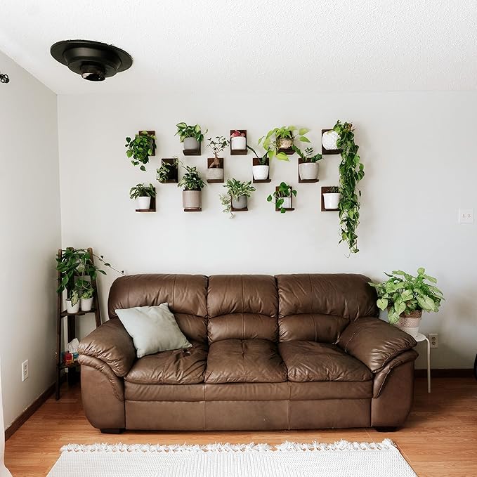 Daniel's Plants 3 Pack Midcentury Modern L Shaped Floating Shelves | Wall Mounted Plant Shelf Kit | Solid Wooden Shelf | 3 Shelves (Woodland Brown)