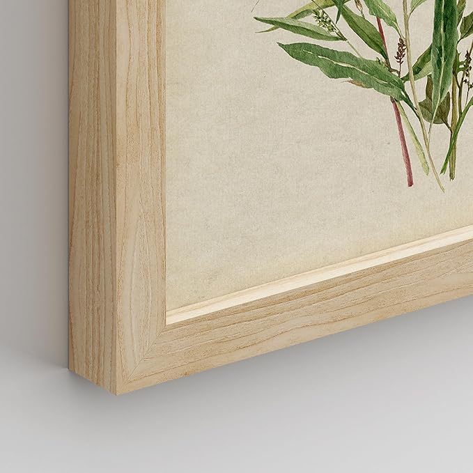 SIGNWIN Framed Watercolor Floral Botanical Wall Art, Set of 4 Vintage Wall Decor Prints, Minimalist Wall Décor for Living Room, Bedroom - 11"x14" Natural