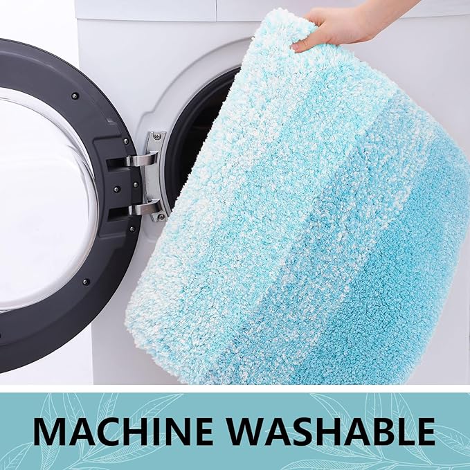 Arotive Microfiber Bathroom Rugs, Shaggy Soft and Absorbent Bath Rug, Non-Slip, Thick Plush Machine Washable Dry Bath Mats for Bathroom, Tub and Shower, 30x20, Sky Blue, Rectangular