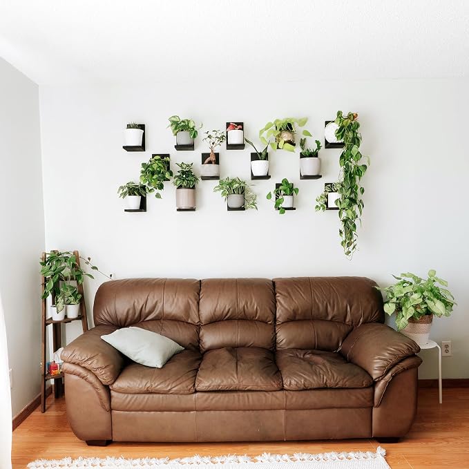 Daniel's Plants 3 Pack Mid-Century Modern L Shaped Wooden Plant Shelf Kit | Wall Mounted Floating Shelves | Solid Wood Wall Planter Shelf | Midnight Black