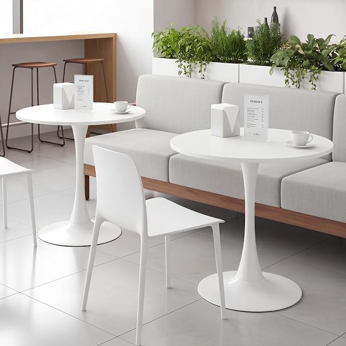 24 Inch Round Dining Table,Mid-Century Tulip Table with Metal Pedestal Base,Modern Leisure Table for Small Space Kitchen Dining Room,Easy Assembly,White