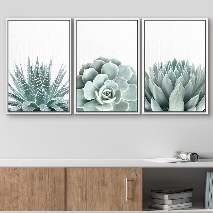 wall26 Framed Wall Art Print Set Green Succulent and Cactus Variety Wilderness Nature Illustrations Modern Art Rustic Closeup Colorful for Living Room, Bedroom, Office Natural - 24"x36"x3 White