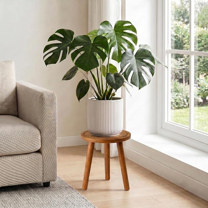 Wood Plant Stands Indoor, Teak Plant Stand Modern Plant Table for Large Plants, Wooden Plant Stool, Tall Plant Holder Small Round Side for Living Room, Balcony, Office (1 Pack)