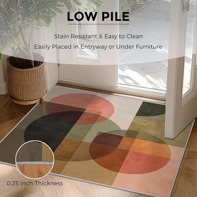 Mid Century Modern Rugs for Home Decor, 4x6 ft, Abstract Geometric Area Rugs for Living Room, Soft Non Slip Washable Retro Geo Circles MCM Carpet Bedroom Decorations D-1g