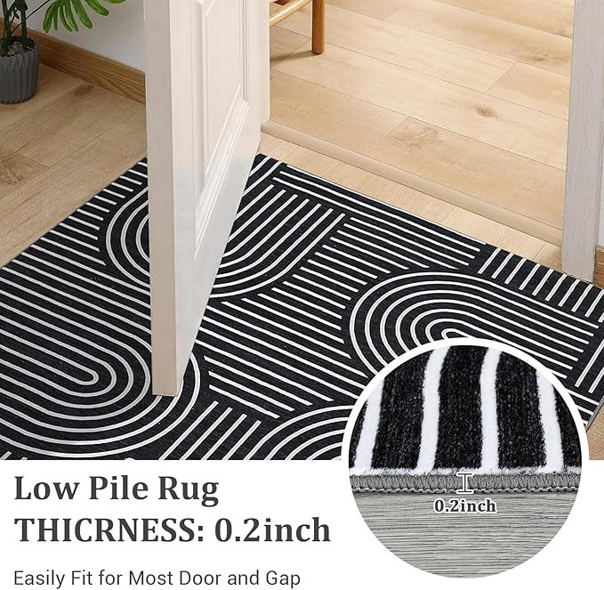Washable Rug 2x3 Area Rugs for Entryway, Abstract Rug for Bedroom, Soft Rainbow Non Slip Small Area Rug with Rubber Back, Low Pile Stain Resistant Boho Geometric Carpet for Dining Room, Black