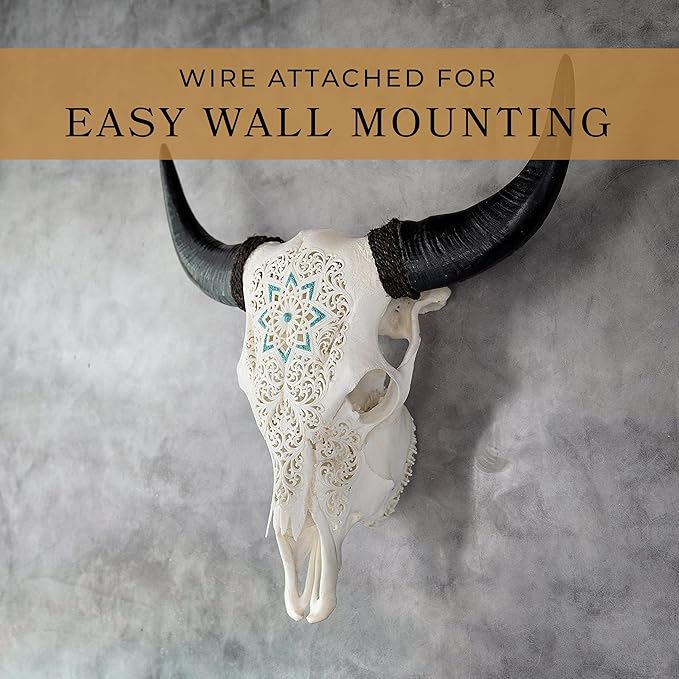 Skull Bliss - Hand-Carved Real Authentic Taxidermy Cow Skull/Bull Skull Wall Decor with Horns/Real Animal Cow Skull Wall Decor (Standard Horns)