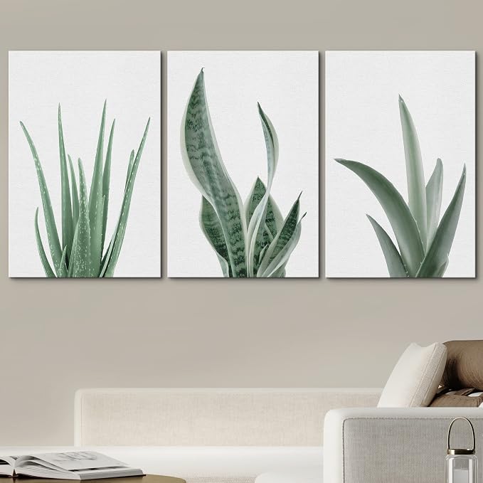 wall26 Canvas Print Wall Art Set Minimal Snake Plant Agave Succulents Nature Wilderness Photography Modern Art Bohemian Decorative Rustic Contemporary for Living Room, Bedroom, Office - 16"x24"x3