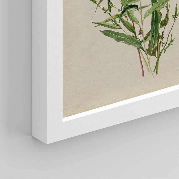 SIGNWIN Framed Watercolor Floral Botanical Wall Art, Set of 4 Vintage Wall Decor Prints, Minimalist Wall Décor for Living Room, Bedroom - 8"x10" White