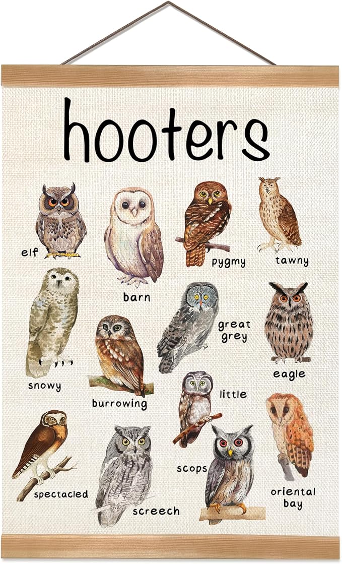 ZTGDA Vintage Owl Wall Art –Hooters of The Canvas Prit Poster with Hanger Frame, Retro Owl Illustration Wall Poster for Bedroom Living Room,or Classroom Playroom Decor 12x16inch (Owl)