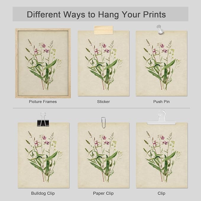 SIGNWIN Adhesive Canvas Poster Watercolor Floral Botanical Vintage Minimalist for Living Room, Bedroom, Office - 11"x14"x4