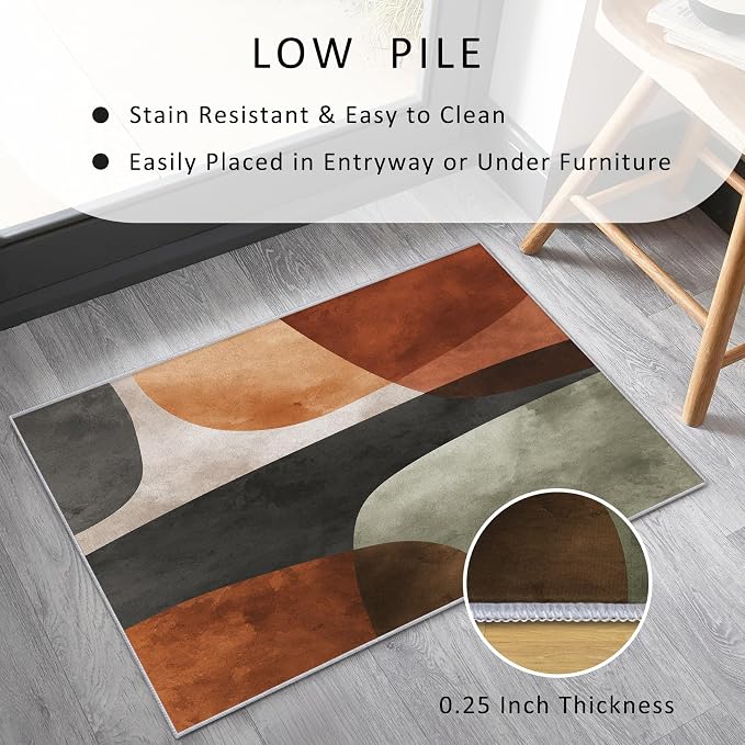 Mid Century Modern Rugs 4x5, Abstract Retro Art Washable 4 x 5 Area Rug for Living Room, Bedroom, Low Pile Non Slip Stain Resistant Carpet, Mid Century Home Decor Accessories & M929